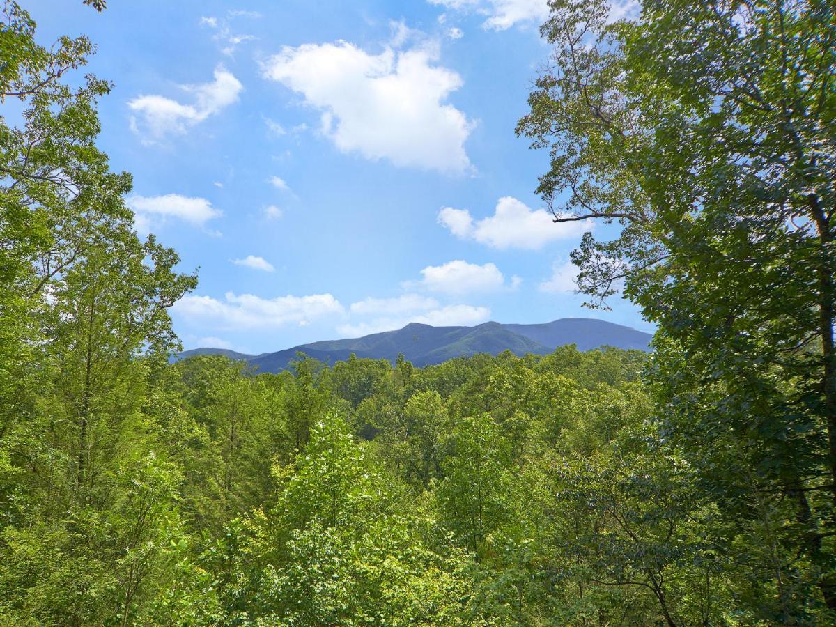 Dew South Villa Gatlinburg Exterior foto